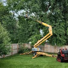 Best Tree Preservation Services  in Redding, CA